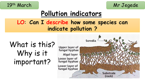 Pollution indicators