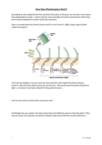 Phototropism Experiments worksheet KS4 KS5