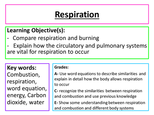 Respiration