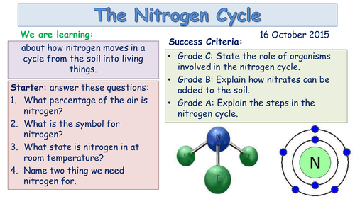 Nitrogen Cycle