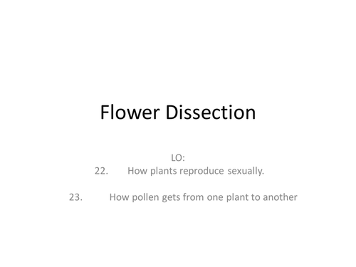 Flower Dissection Teaching Resources