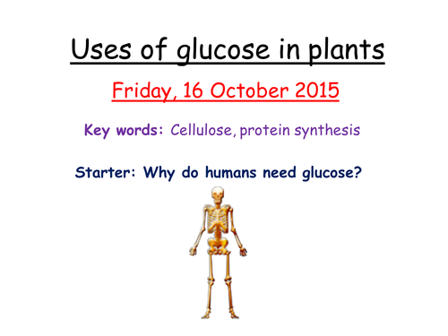 Uses of glucose in plants