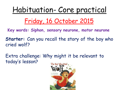 Habituation core practical