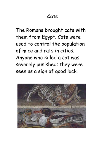 What have the Romans ever done for us?