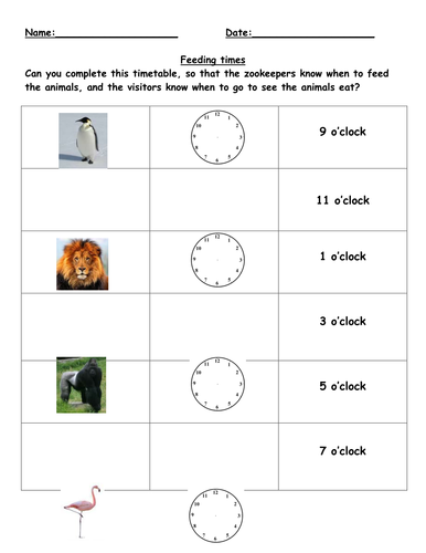 Zoo animal feeding times - differentiated