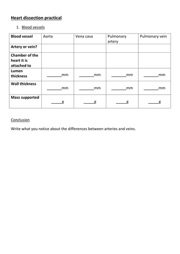 Heart dissection pupil worksheet