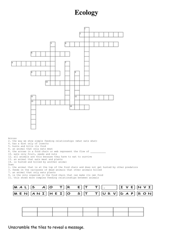 Worksheet and web based activities