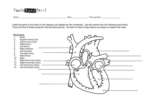 The heart and circulatory system cloze procedure by carlfarrant88 ...