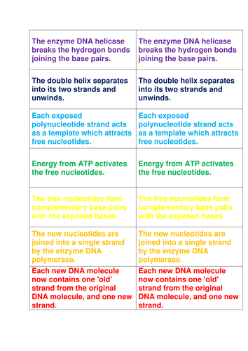 Card sort race activity (revison or plenary)
