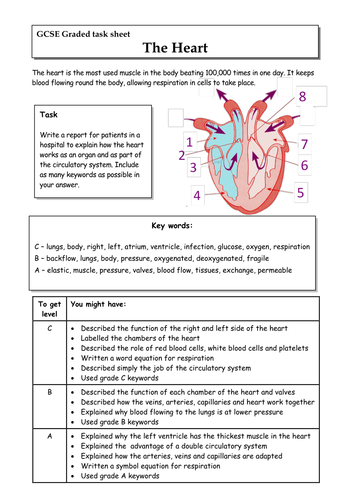 Outstanding GCSE and A level chemistry resources - Teaching Resources - TES