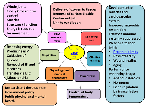 SNAB Run for your life Introductory mind map