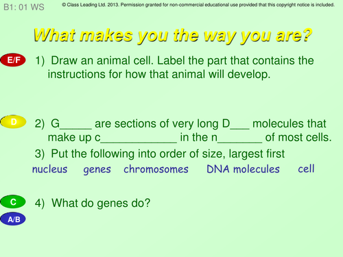 What makes you the way you are - questions