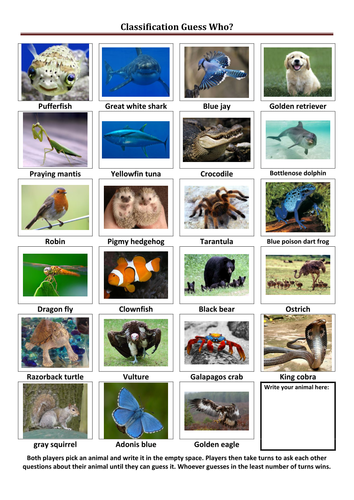 Classification guess who