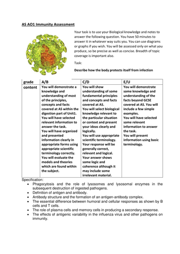 Immunity assessment | Teaching Resources