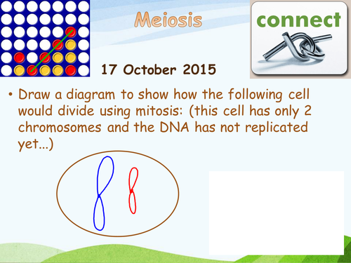 Meiosis