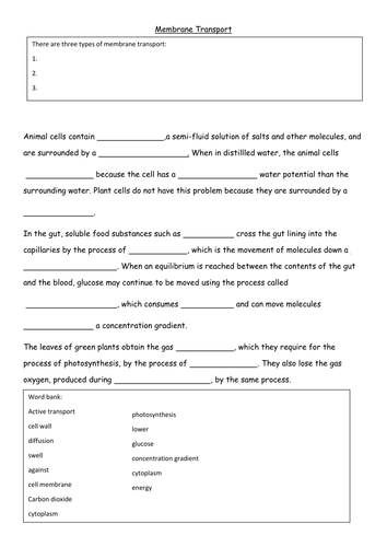 Active Transport Worksheets Teaching Resources