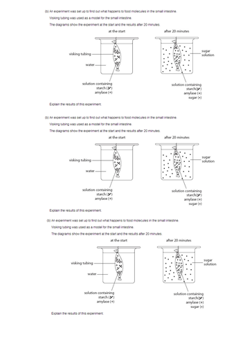 How villi are adapted