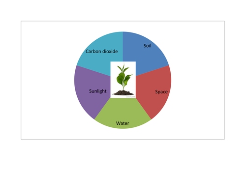 Helping Plants Grow Game