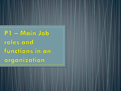 Job Roles & Functions in Business