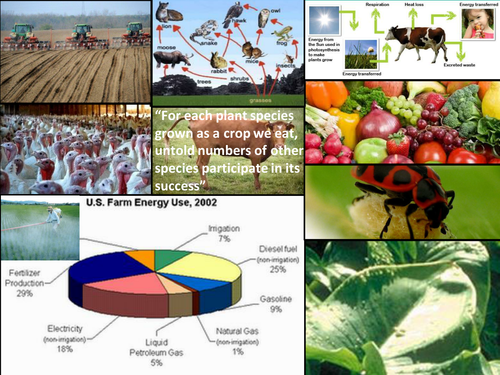 AQA Energy and Ecosystems Revision for A2 Biology