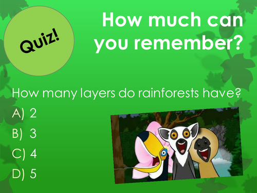 How Plants adapt to tropical rainforests