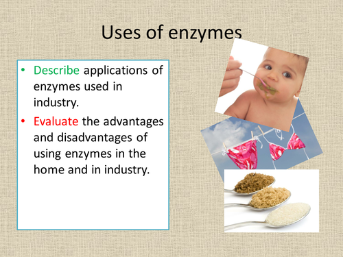 Enzymes in industry