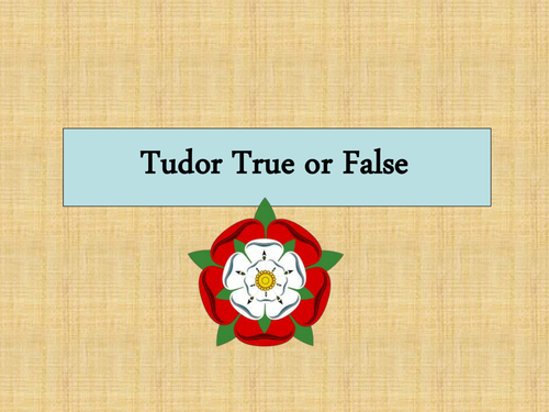tudor houses homework help