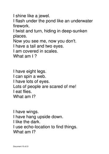 Riddles - Silly Stuff unit