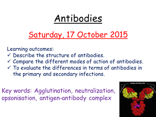 Antibodies | Teaching Resources