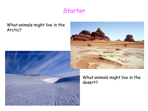 Adaptations for the arctic and desert: foundation