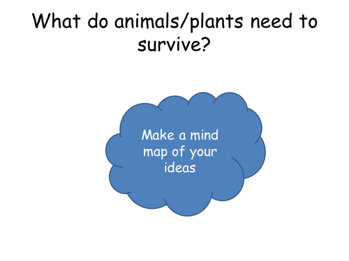 Adaptation lesson for foundation students