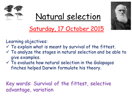 Natural selection practical