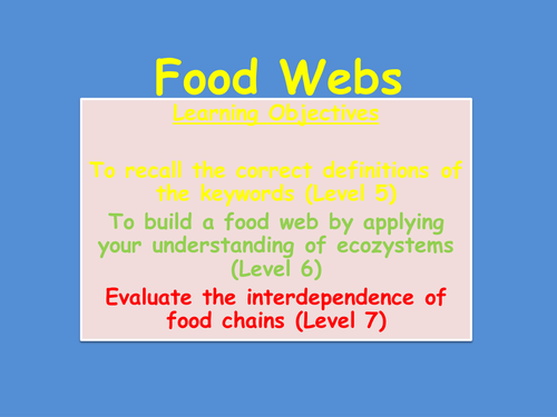 Food chains and webs