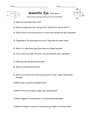 Scientific Eye food chains Question sheet