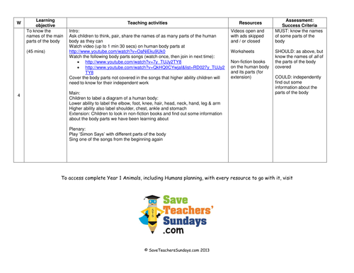 Parts of the Body lesson plan and worksheets