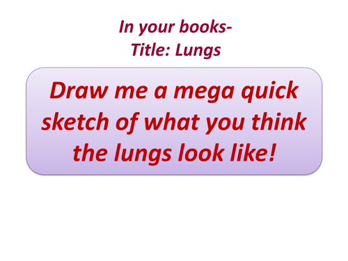 Lungs Lesson with worksheet