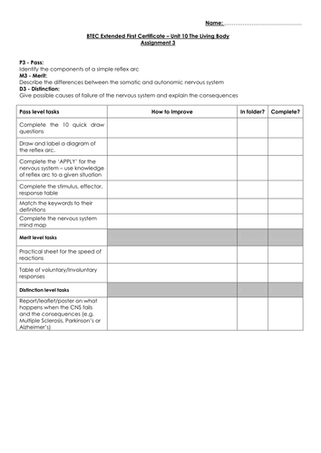 BTEC Level 2 - Unit 10 (Living Body) Assignment 3