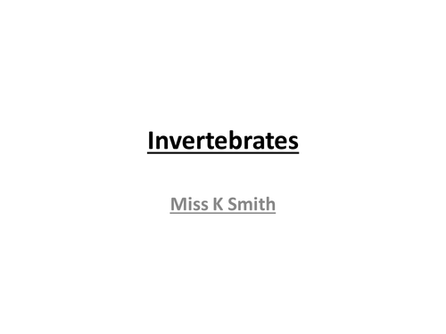 Invertebrates