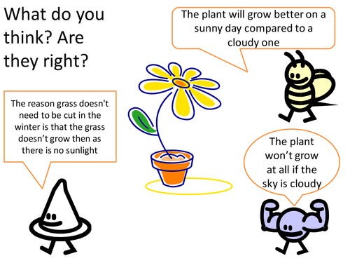 Photosynthesis concept cartoon for discussion