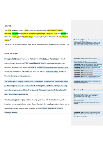 B7 heart valve answer analysis (ICT)