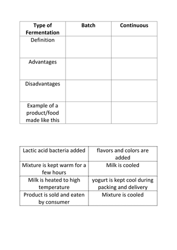 B3 Fermentation