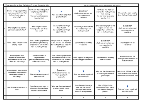 Learning grid Photosynthesis IGCSE Edexcel | Teaching Resources