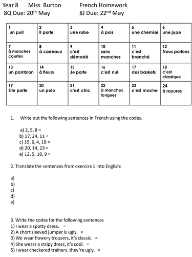 Opinions on Clothes - Homework sheet