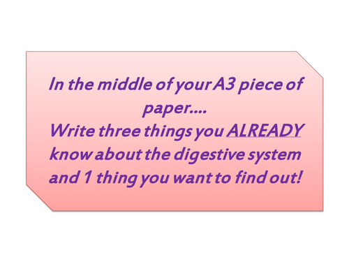 Digestive System Lesson with Worksheet