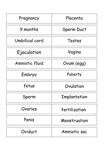Reproduction key word domino cards
