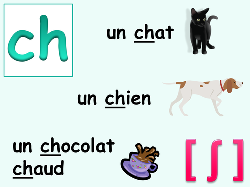 French pronunciation display