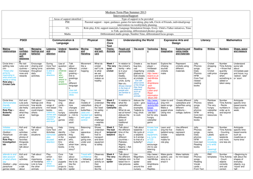 Minibeasts Medium Term Planning