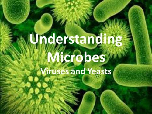 Yeast and Viruses