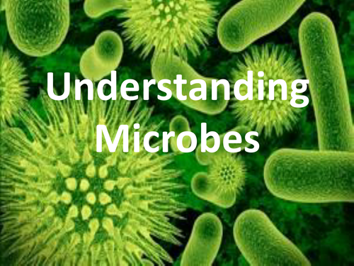 Types of Bacteria PowerPoint