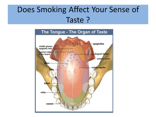 does-smoking-affect-your-taste-teaching-resources